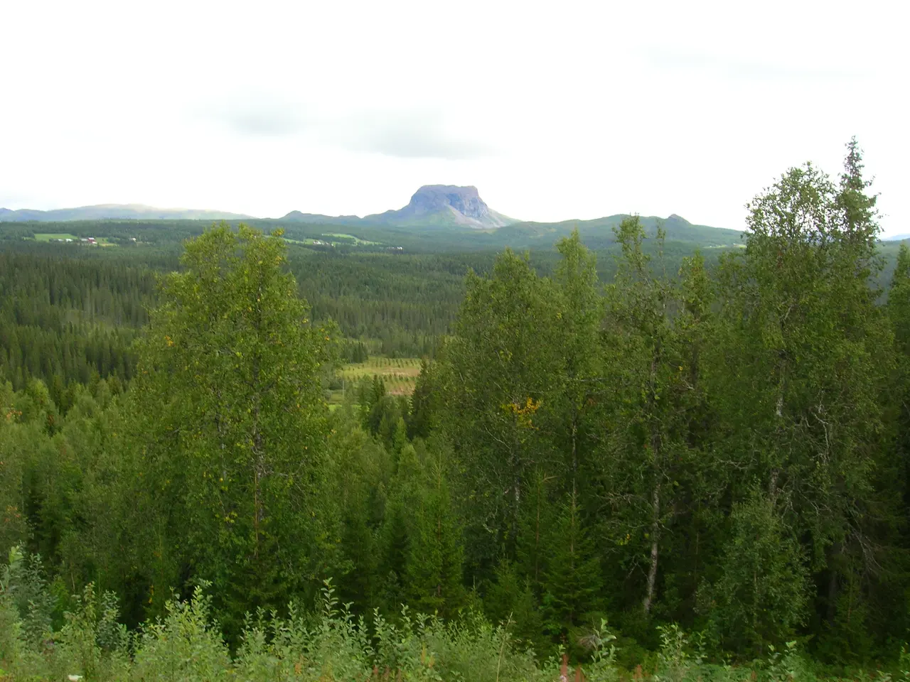 Mount Hatten