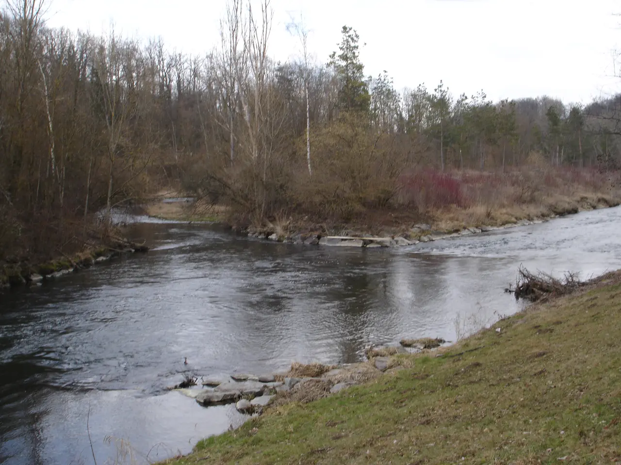 Naturschutzgebiet Glatt Hochfelden