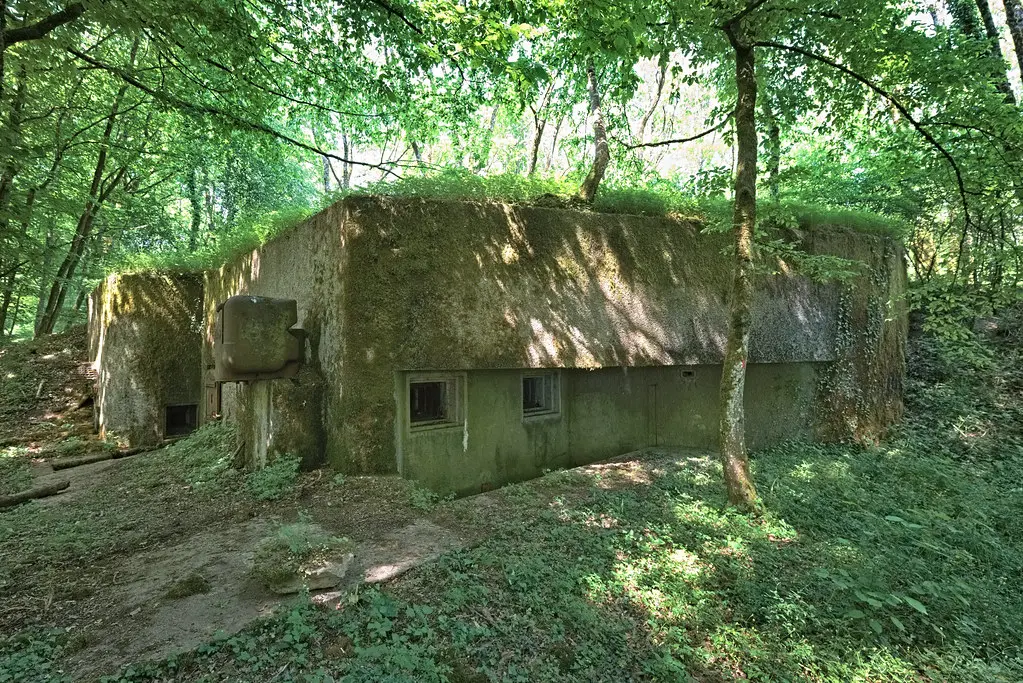 BOIS de KANFEN Est - C43 ( Casemate d'infanterie - Simple )