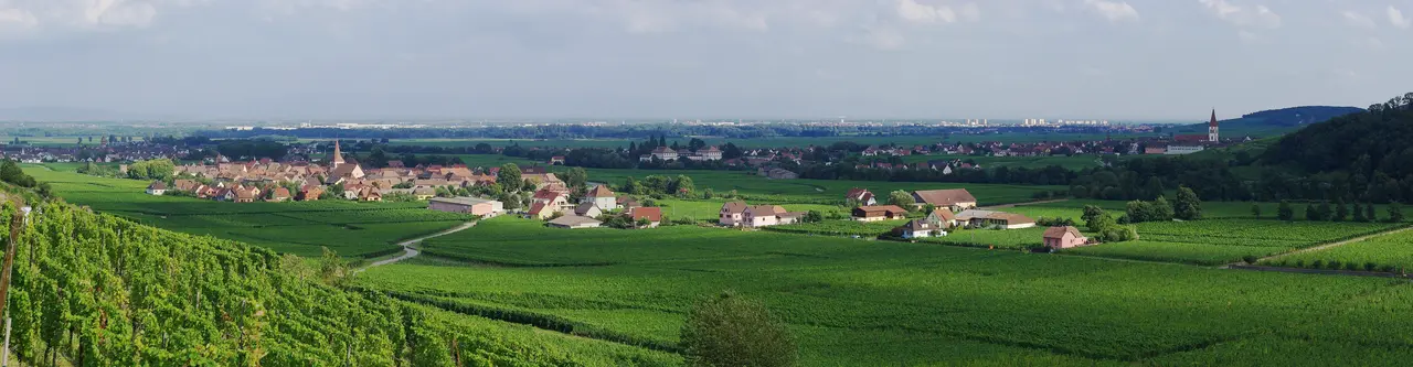 Kaysersberg Vignoble 2011