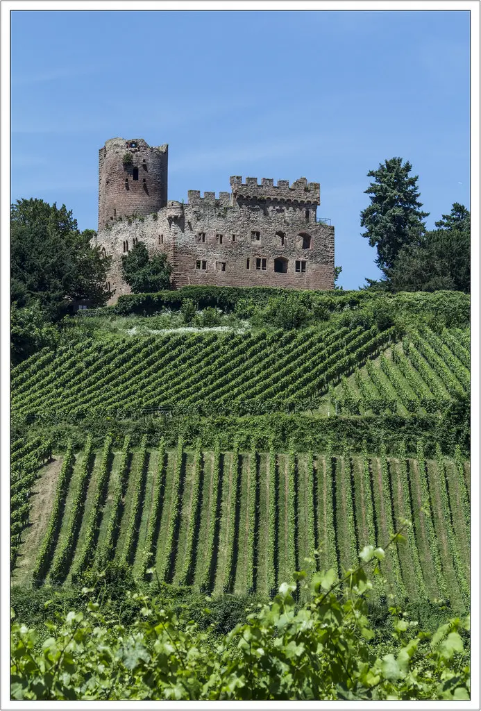 Château de Kintzheim