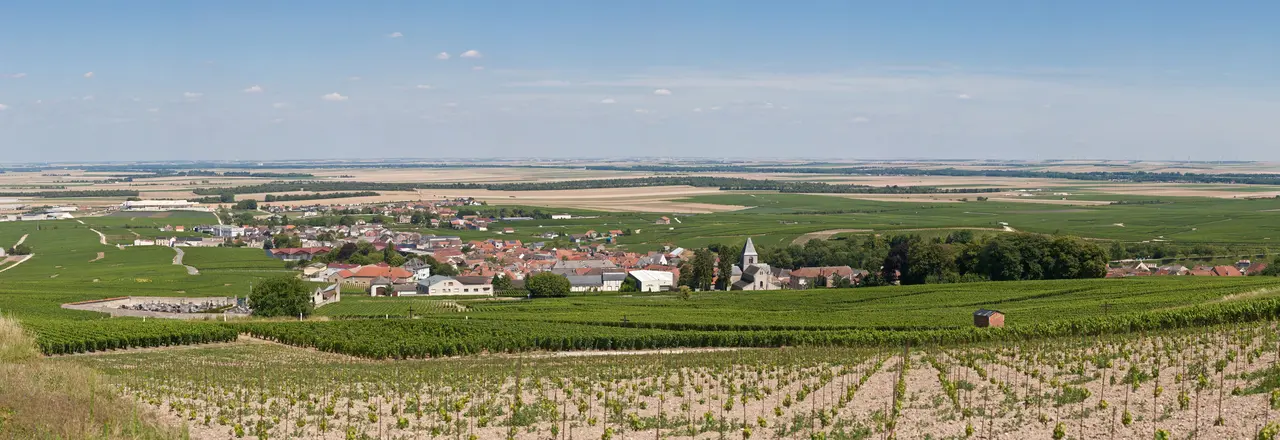 Le-Mesnil-sur-Oger, France - July 2011