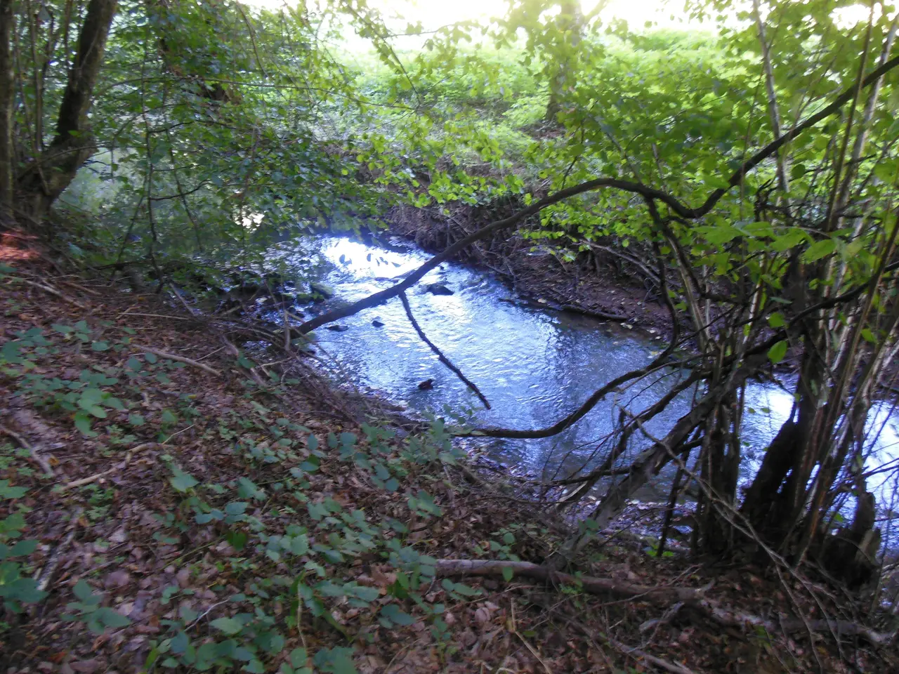 Buttenbach Muenzbach Montbronn 02
