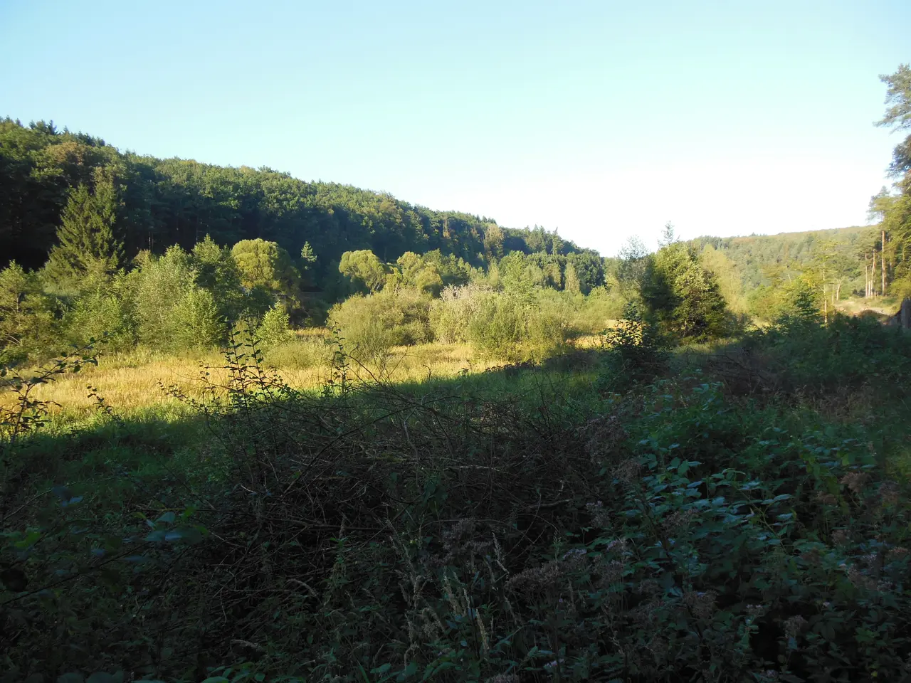 Soucht vers Montbronn 01