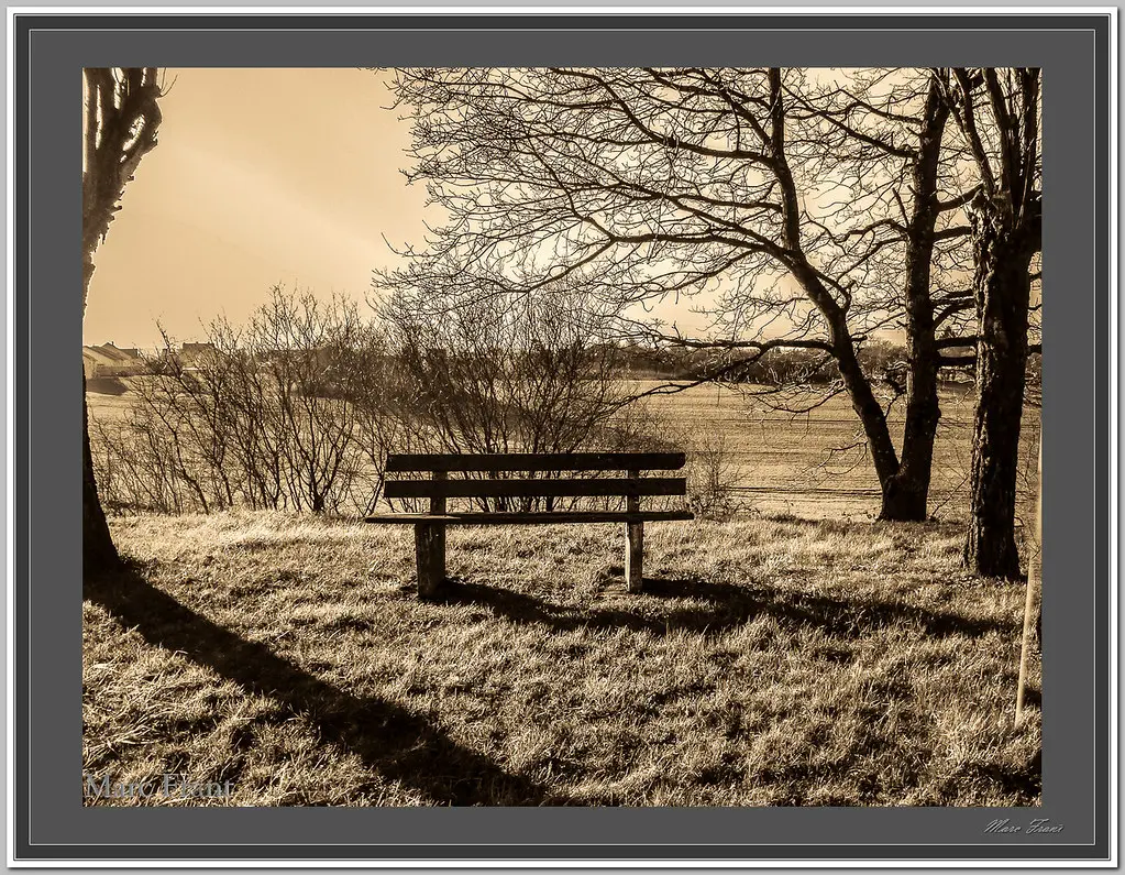 paysage_Tucquenieux_2016_03_-003_r res hd