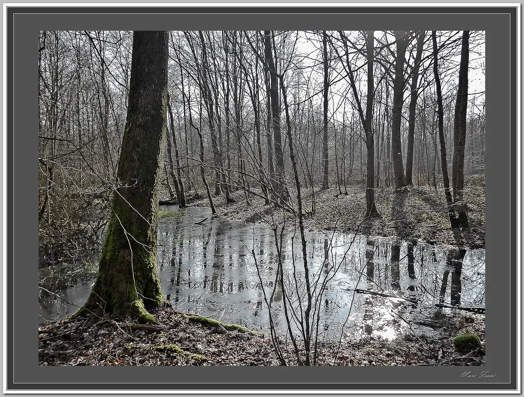 paysage_Hatrize2_r res hd