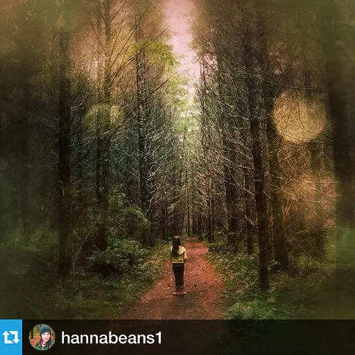 #Repost @hannabeans1 #explorecanada #nature #rainforest #canada #TagsForLikes #igers #instagood #instalike #instamood #instadaily #picoftheday #photooftheday #spiritual #followme #love #likeback #like4like #bc #beautiful #bestoftheday #meditation #mothern