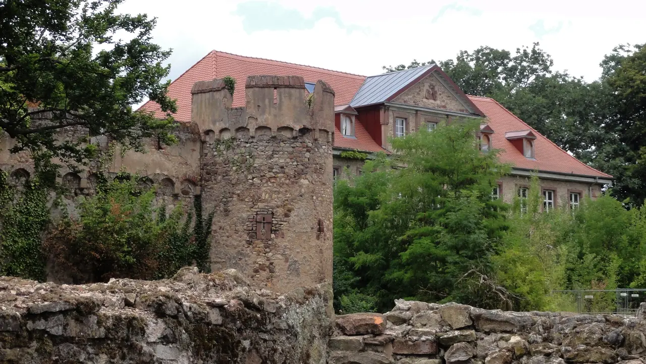 Niedernai Château 04