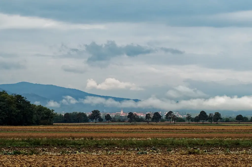 Near Niedernai