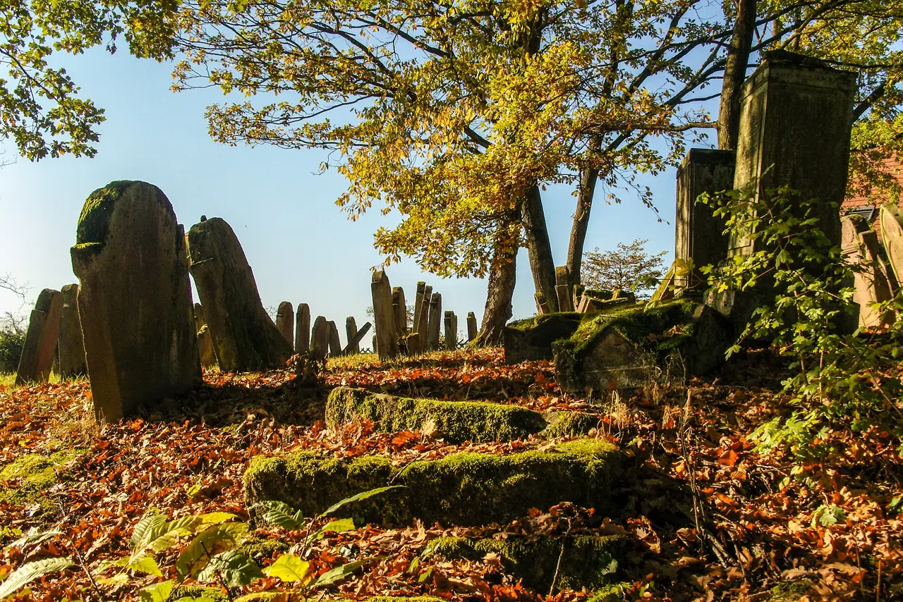 Jüdischer Friedhof bei Oberbronn