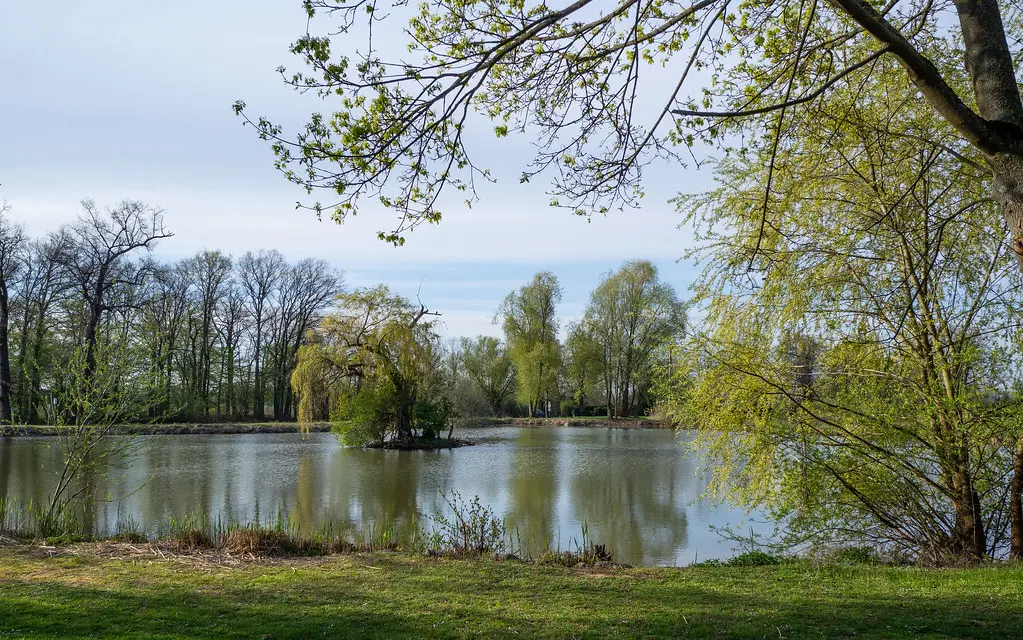 Oberschaeffolsheim pond