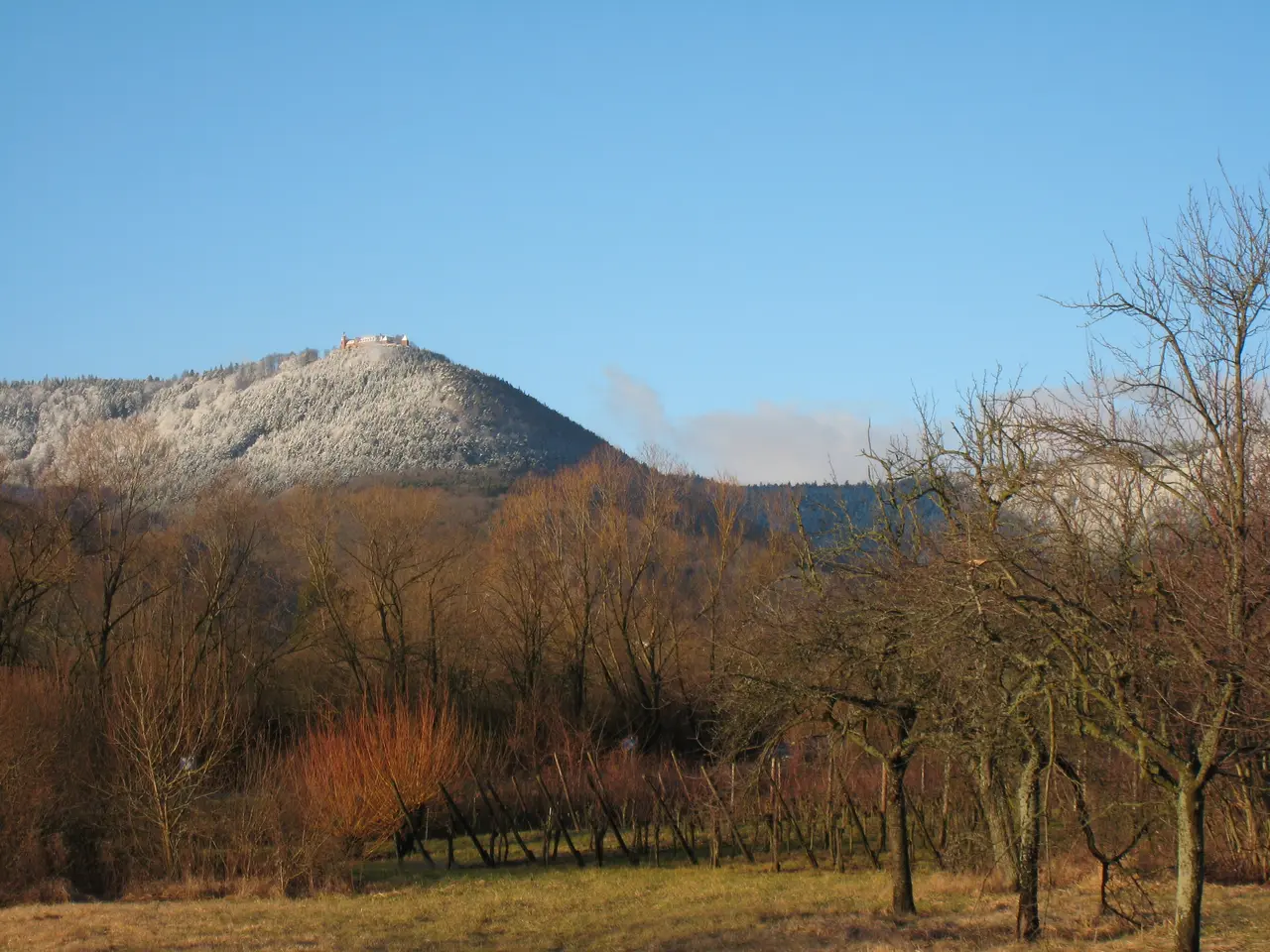 Ottrott Mont Sainte-Odile