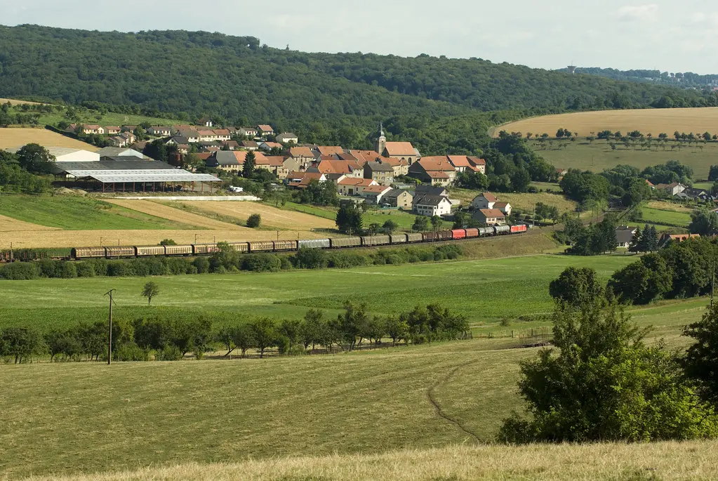 IMGP2972_dng