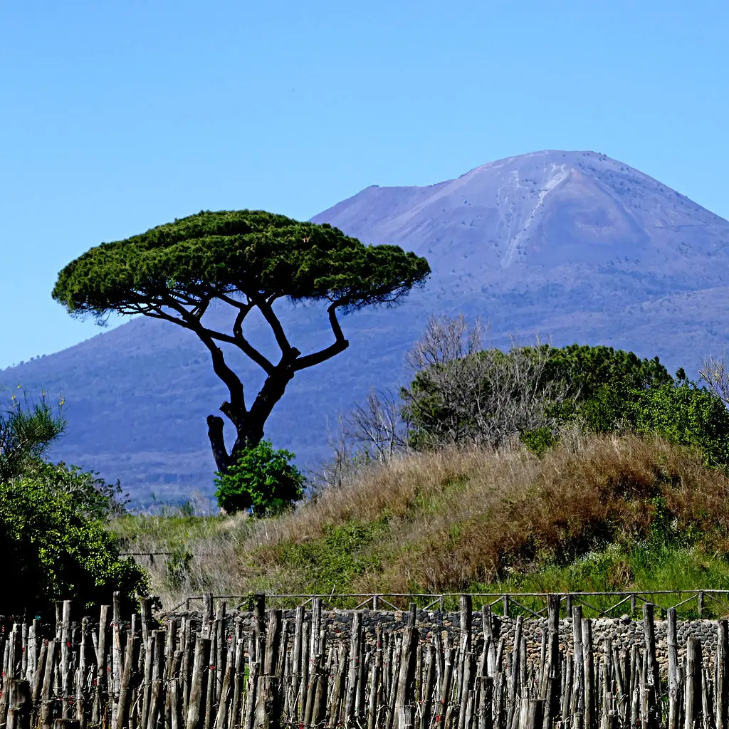 il Vesuvio da Pompei