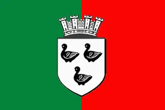 Flag of Schiltigheim