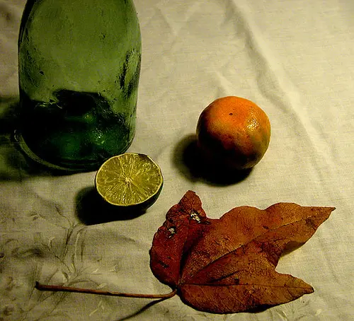 Still Life Series : Quartet
