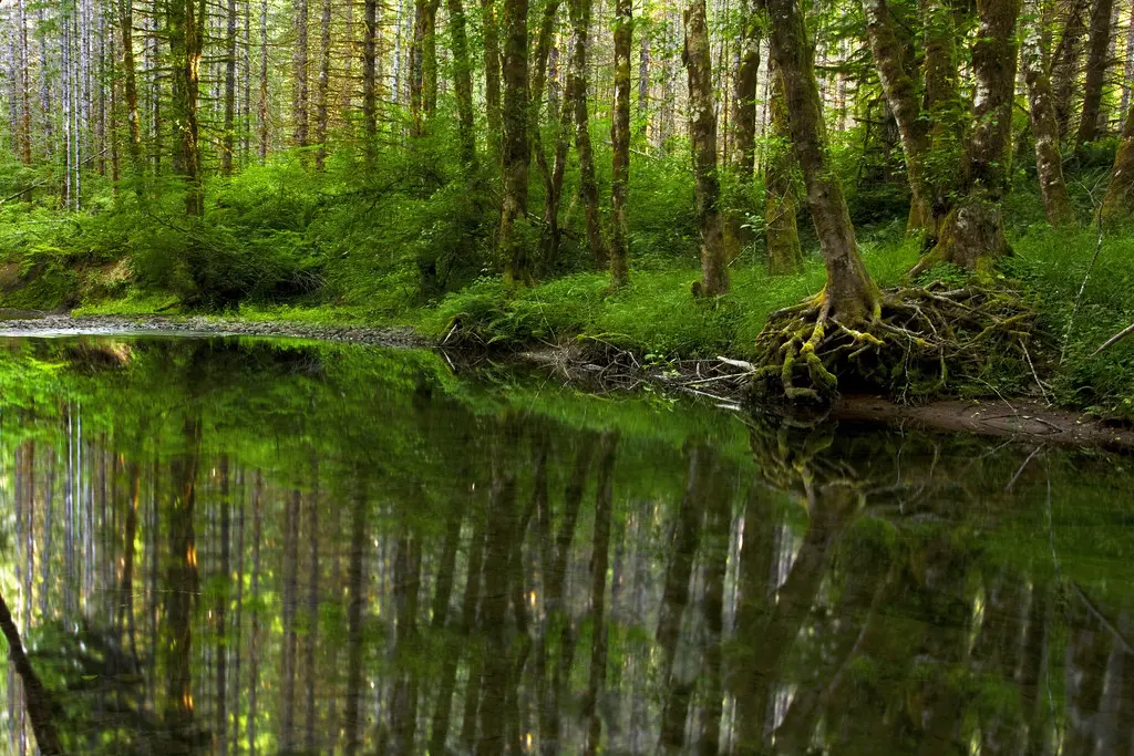 Beside Still Waters