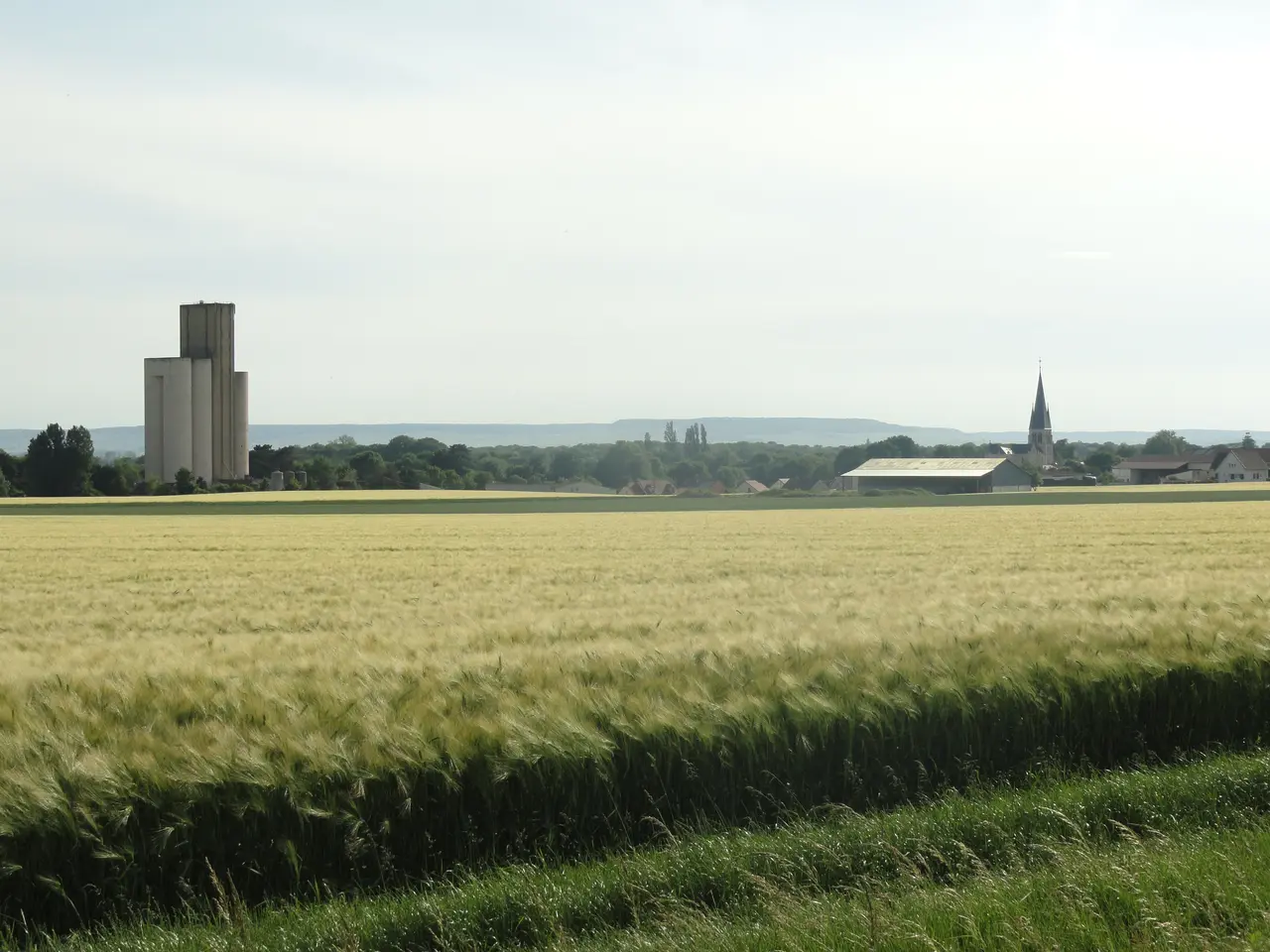 Tours-sur-Marne vue