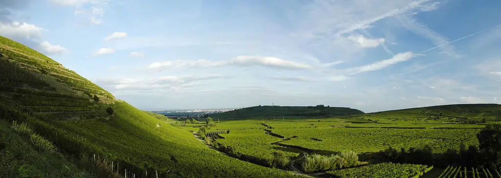 Cave de Turckheim - Alsace