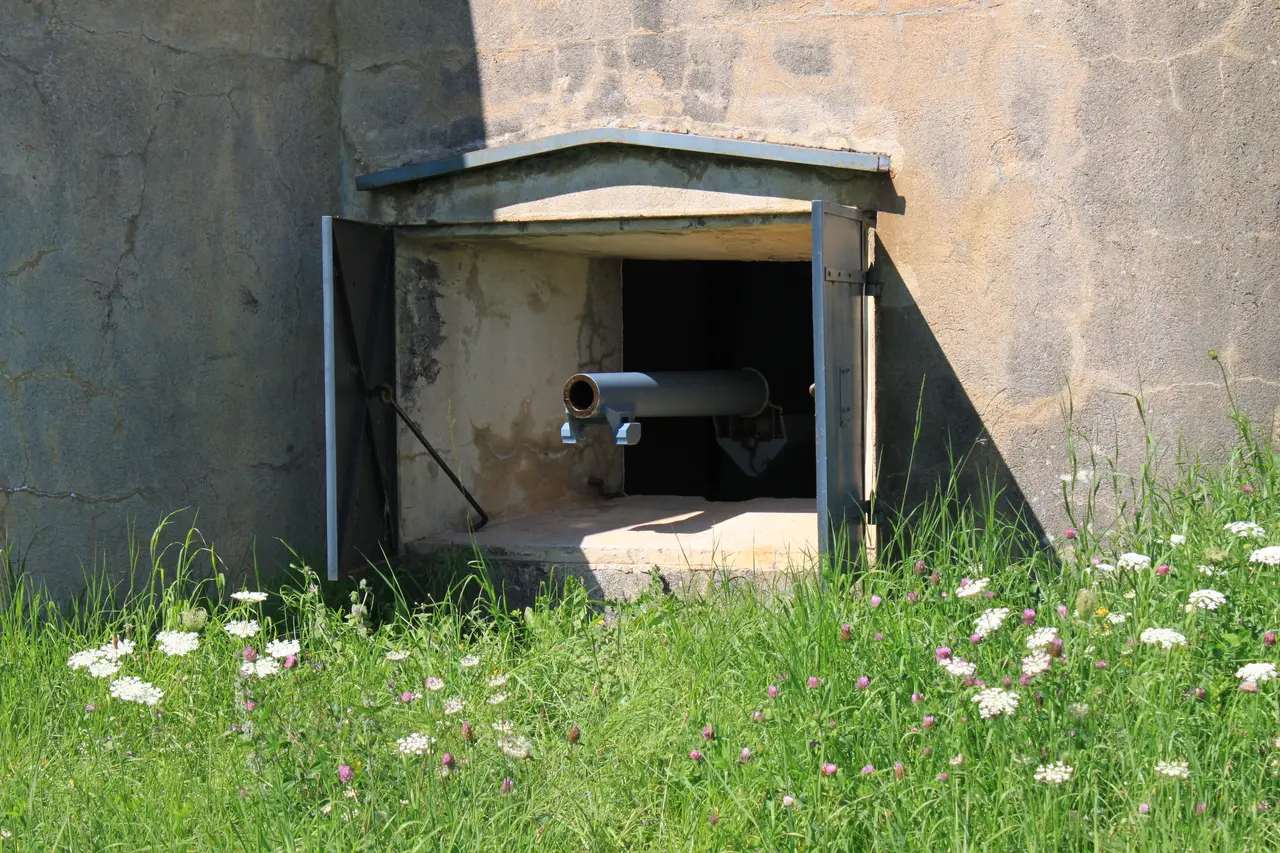 Fort Uxegney - 96