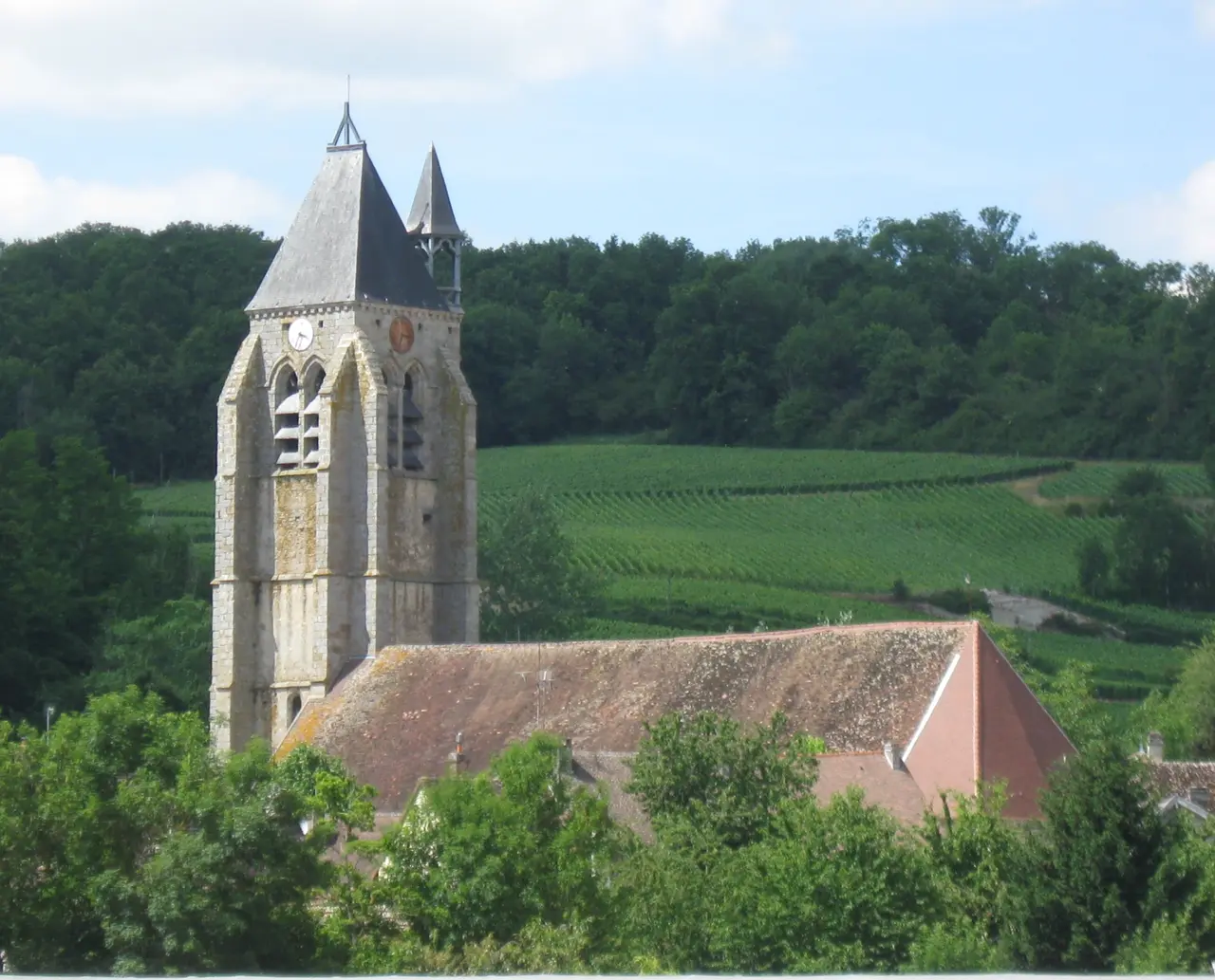 Villenauxe-la-Grande église (Dival) 01