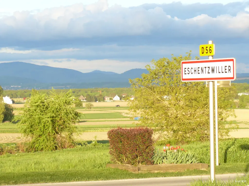 2009Eschentzwillersortie Zimmersheim