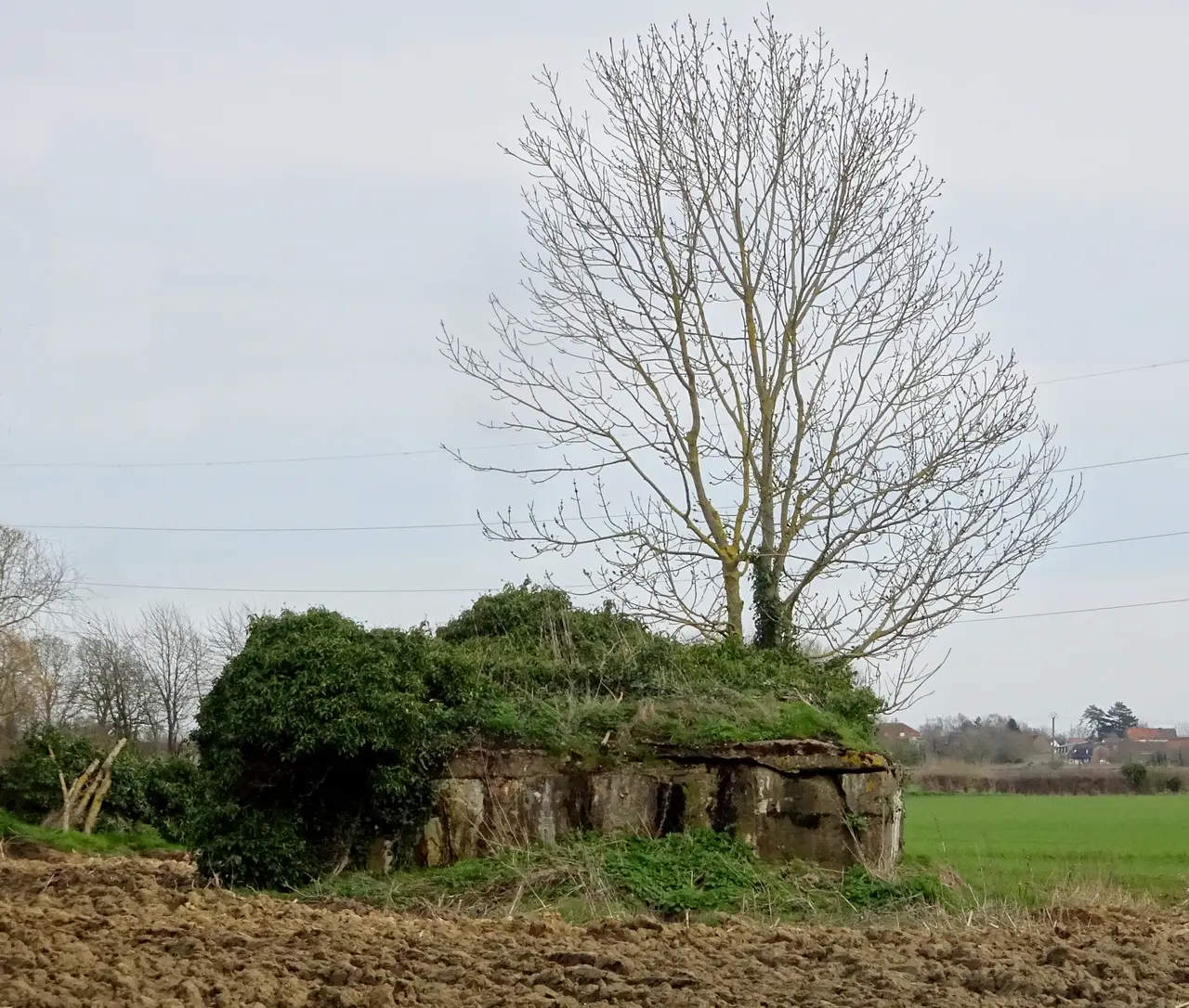 Allennes-les-Marais Casemate à mitrailleuse 2024