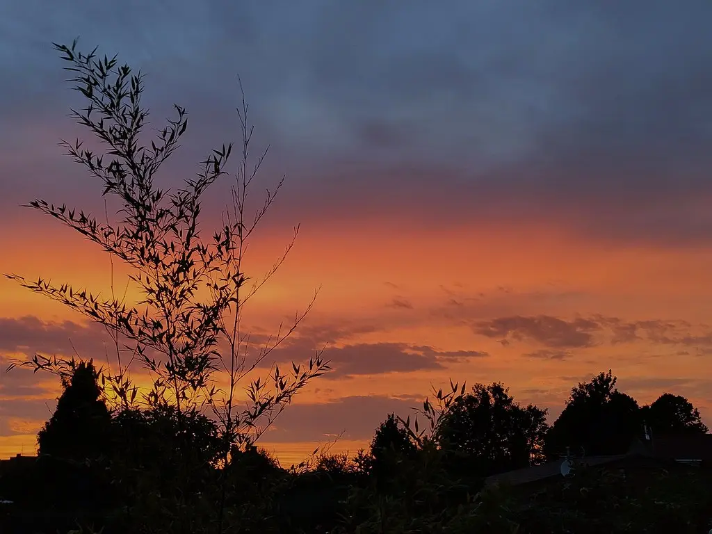 Ciel de feu 2022-08-25, Auby, Nord, France