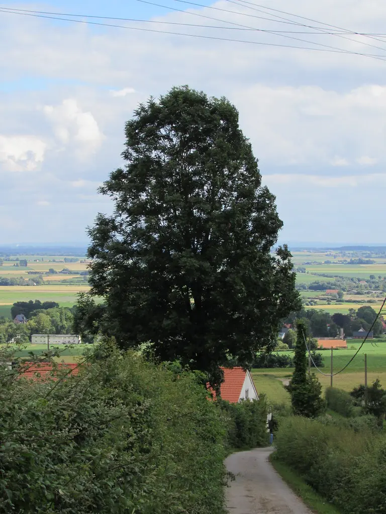 Bavinchove: The road to Cassel (Nord)
