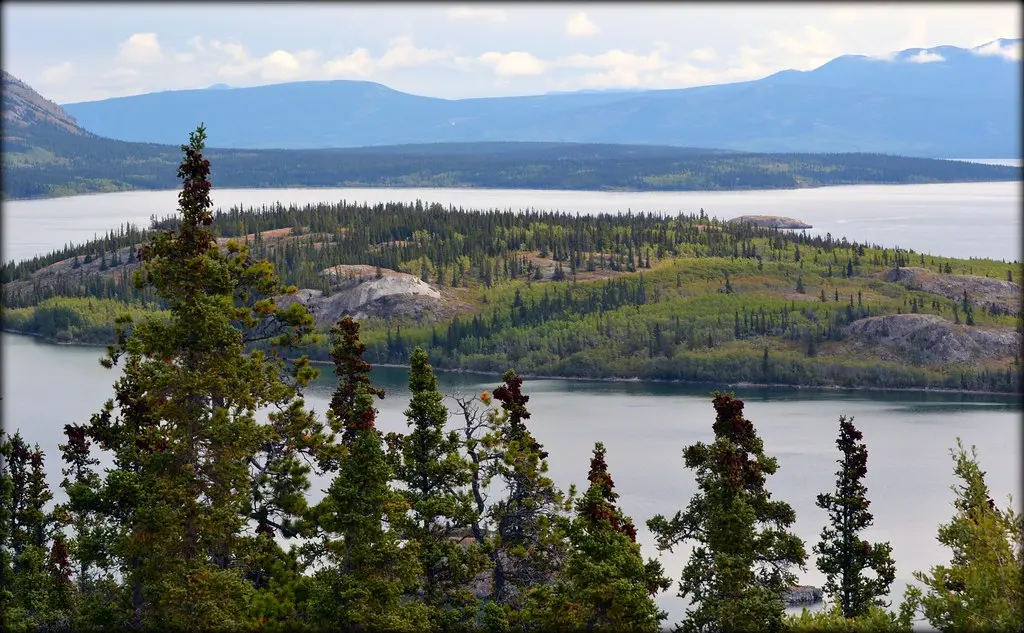 Klondike Highway - Bove Island