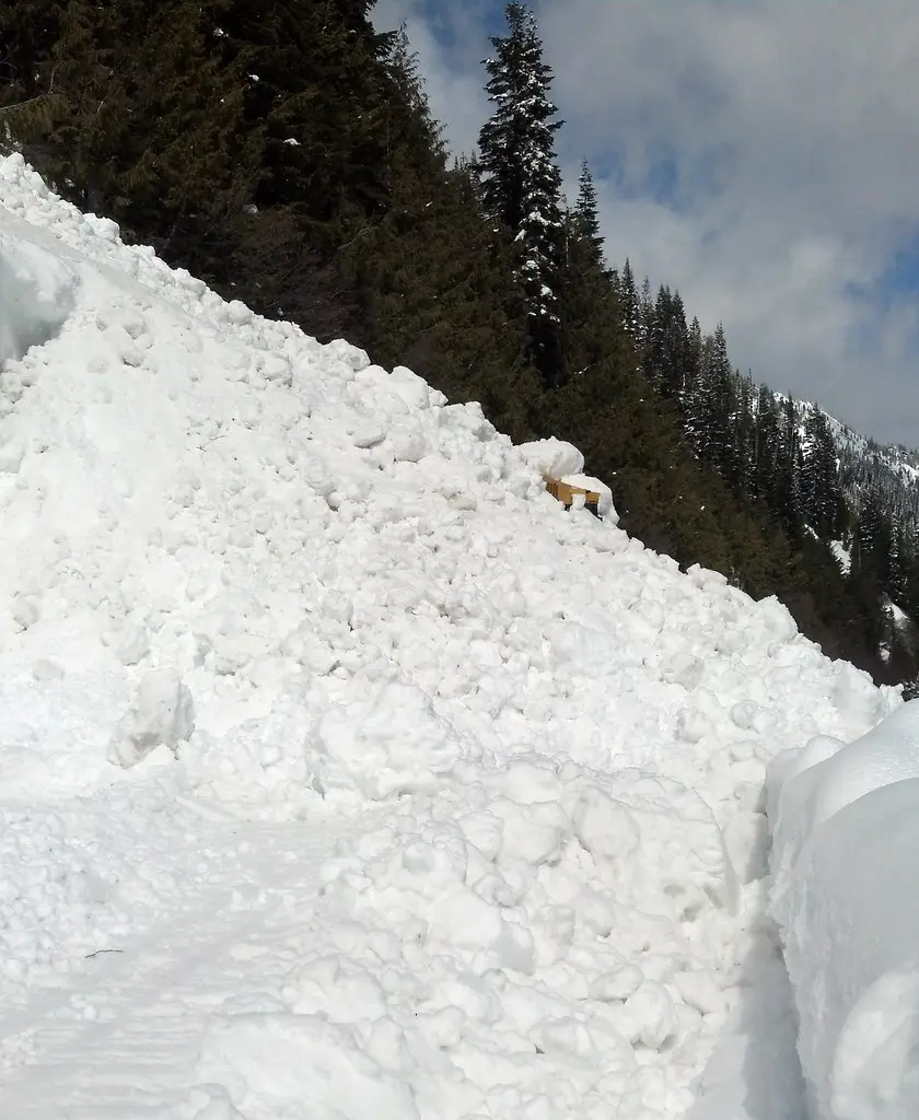 WSDOT employee safe after natural avalanche buries equipment