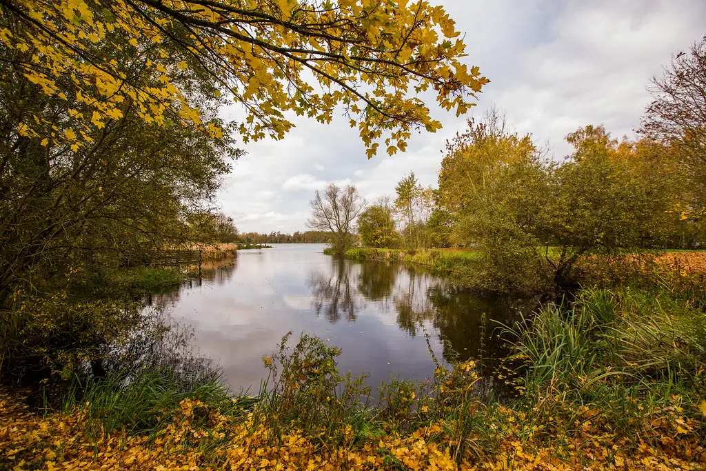 Condé-sur-l'Escaut - Etang Chabaud Latour