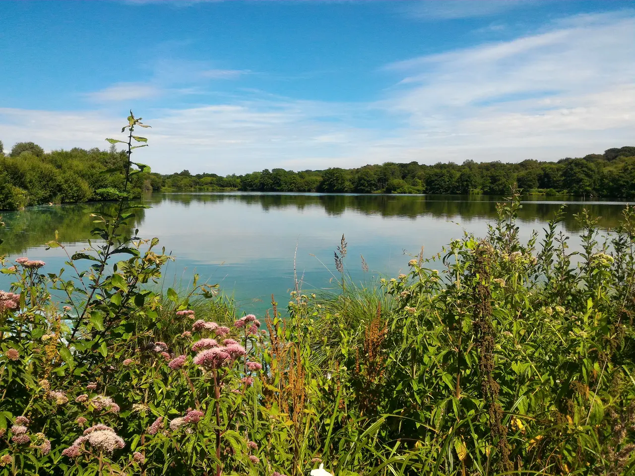 Lac miroirs condette 1