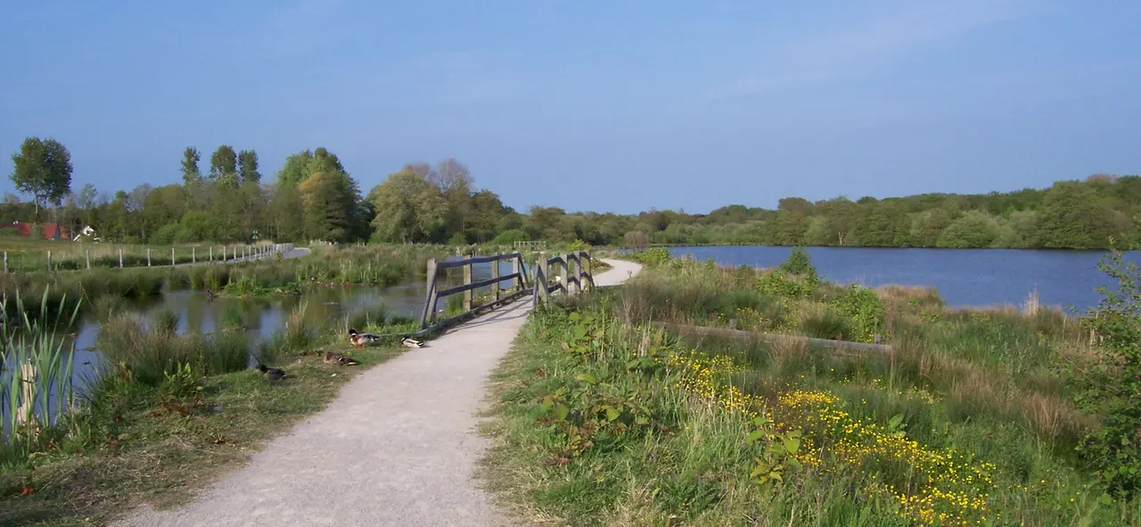 Condette-marais-et-etang