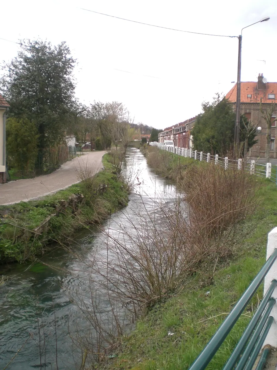 La Nièvre à Flixecourt vers l'amont depuis la rue principale