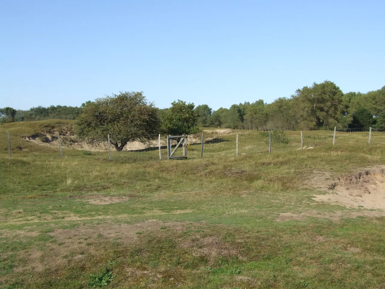 File:Dune fossile de Ghyvelde 01.JPG