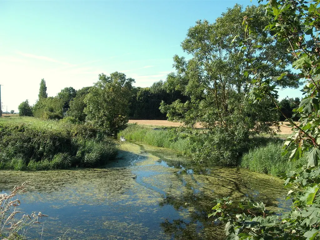 Watergang près de Guemps - panoramio