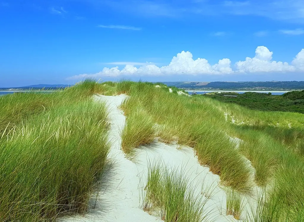Dunes de la baie de Canche - Le Touquet-Paris plage - Samsung Galaxy Note 8