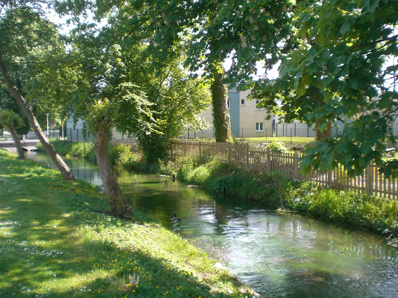 File:L'Airaines à Longpré-les-Corps-Saints en mai 2010 deux.JPG