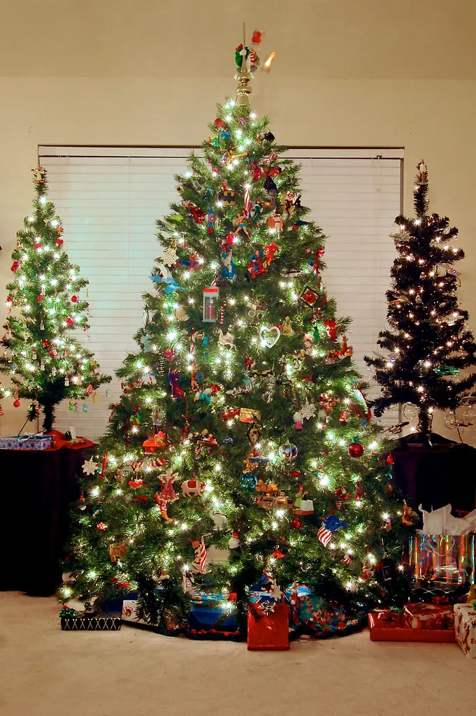 Merry Christmas 2012!