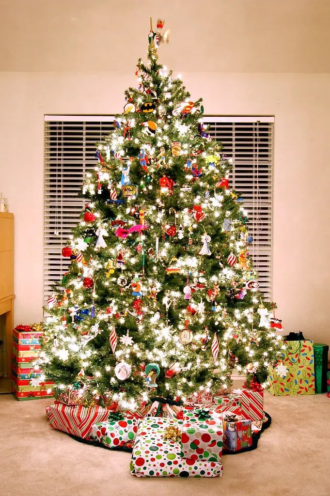 Merry Christmas 2010!