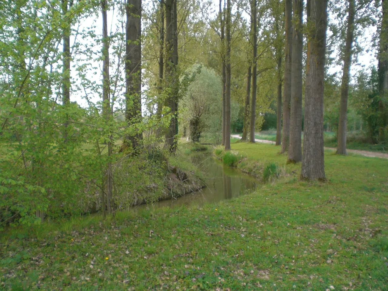 La Tortille entre Moislains et Manancourt au 1er mai 2010
