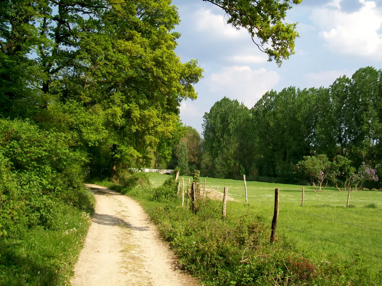 Montgrésin