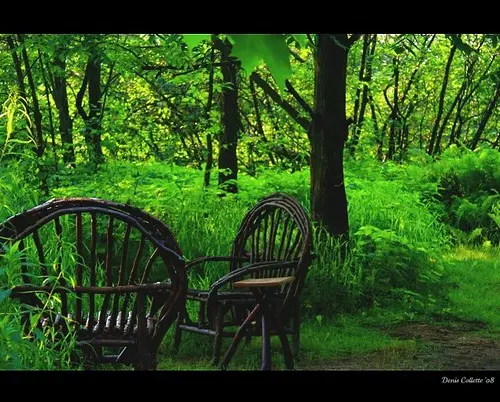 Near my wild river... my green living room...!!! / Près de ma rivière sauvage... mon salon vert...!!! :)))