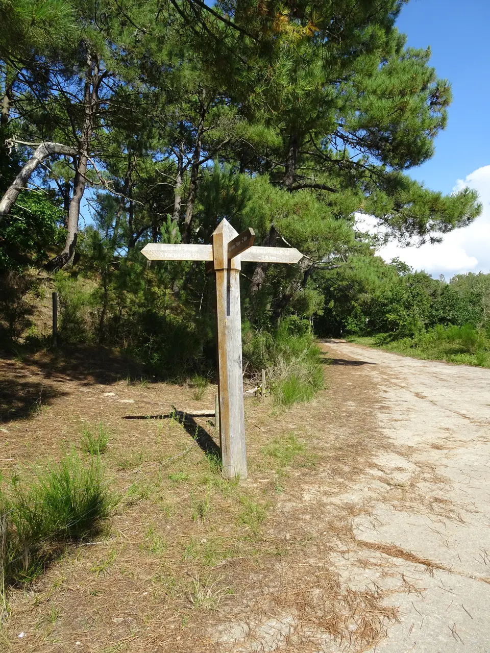 Saint-Étienne-au-Mont dune d' Dunes d'Écault 2023 (1)