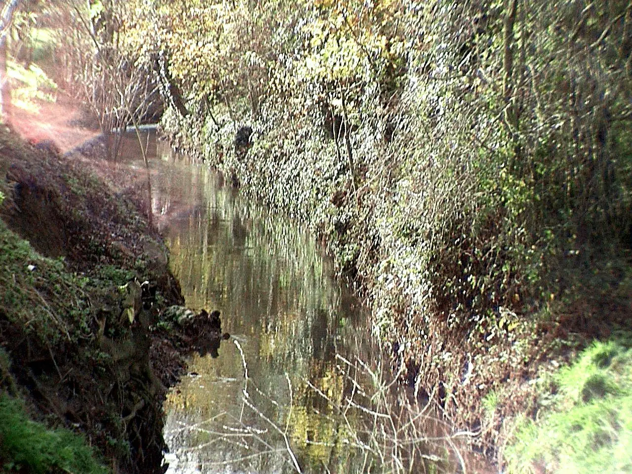 Steenvoorde (L'Ey Becque)