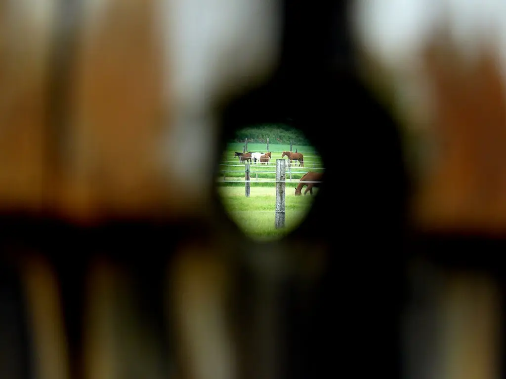 Thumeries - 13.05.2010