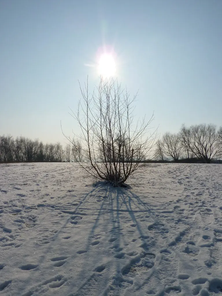 Neige à Verquin