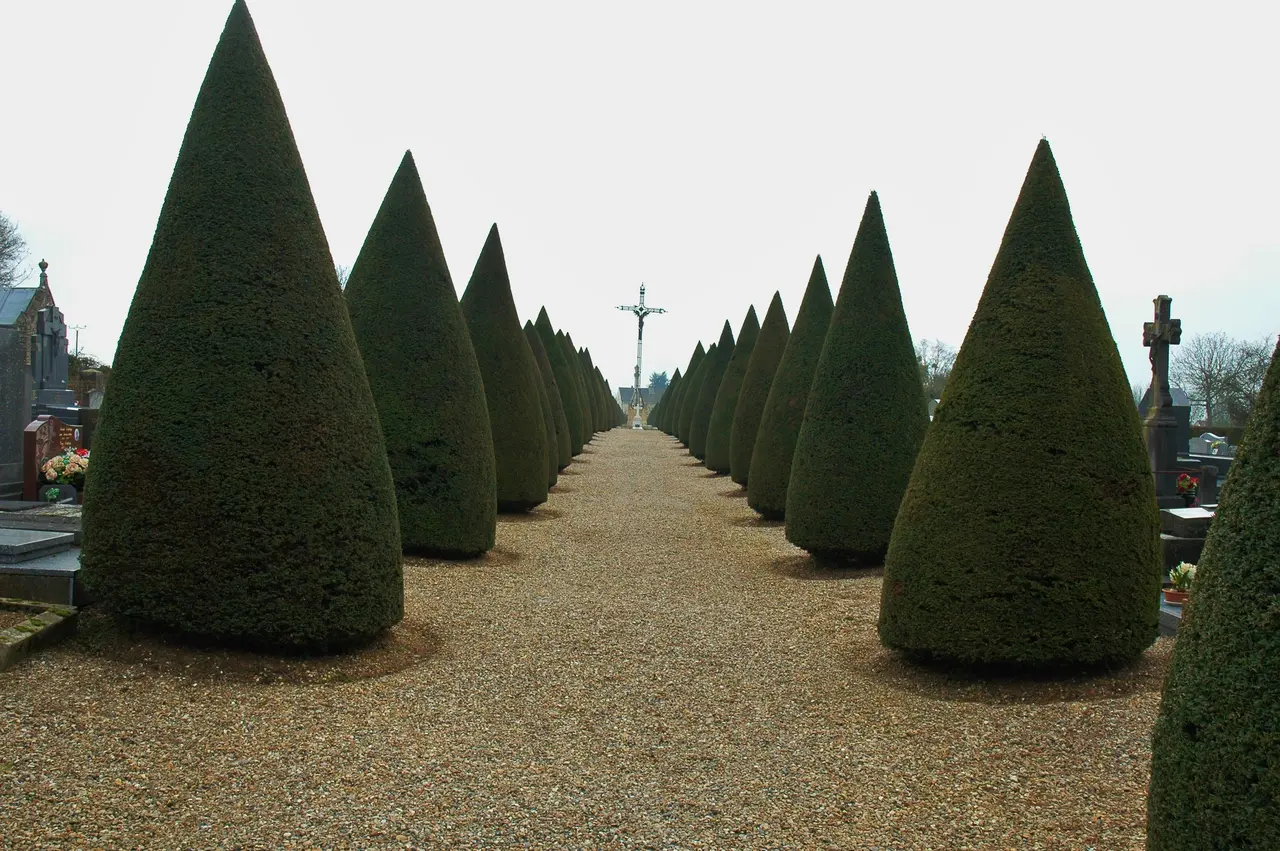 File:Le cimetiere de Vignacourt, Somme.jpg
