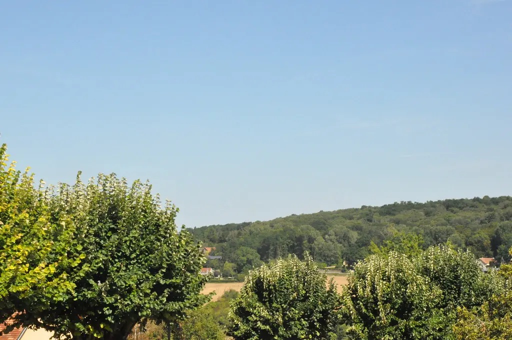 Carte postale de Bazemont